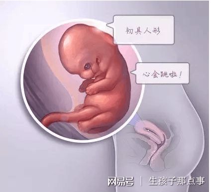 赵主任